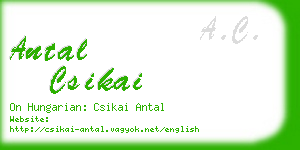 antal csikai business card